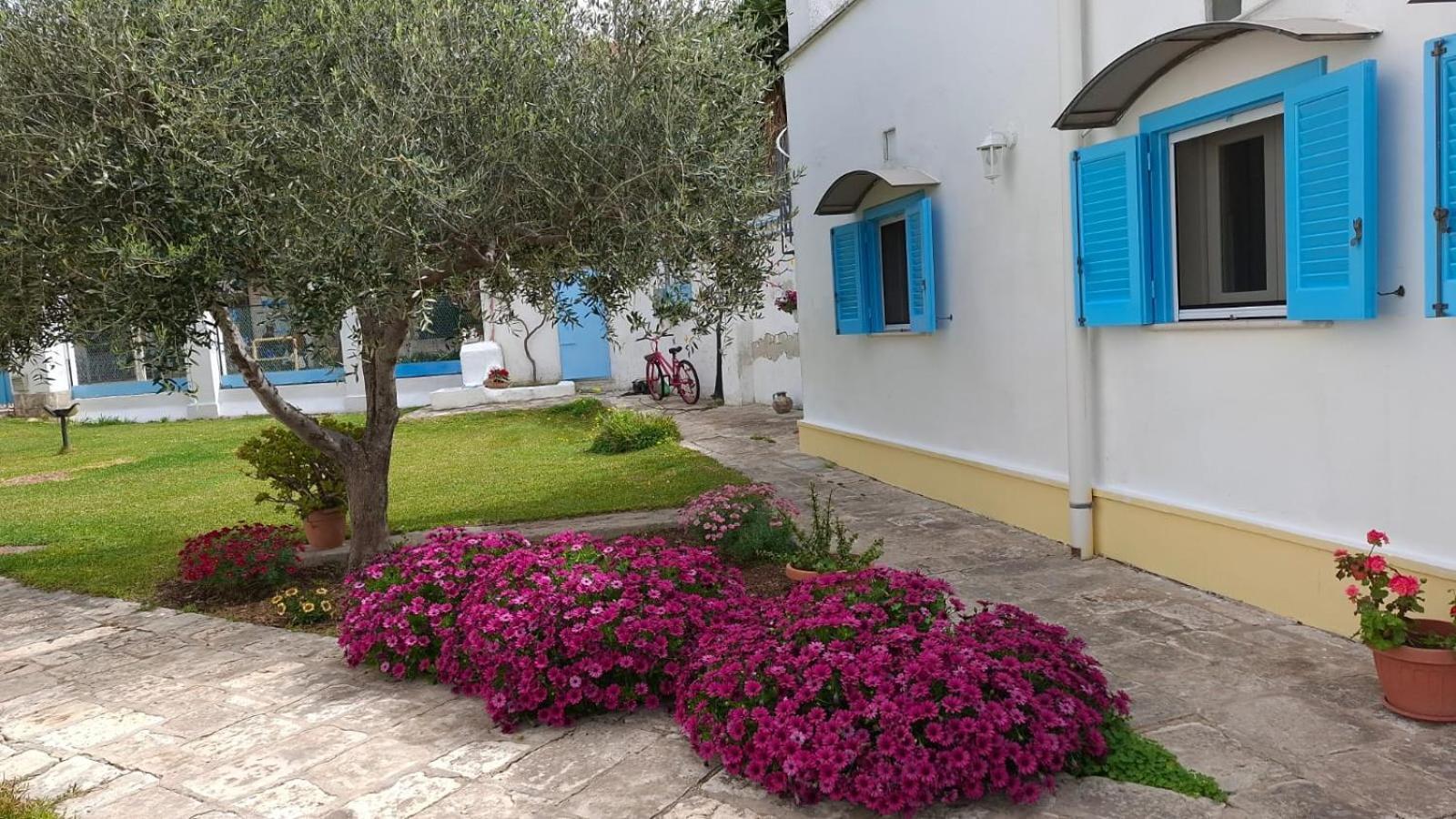 مبيت وإفطار مولا دي باري Villino Tronchetto Bianco المظهر الخارجي الصورة